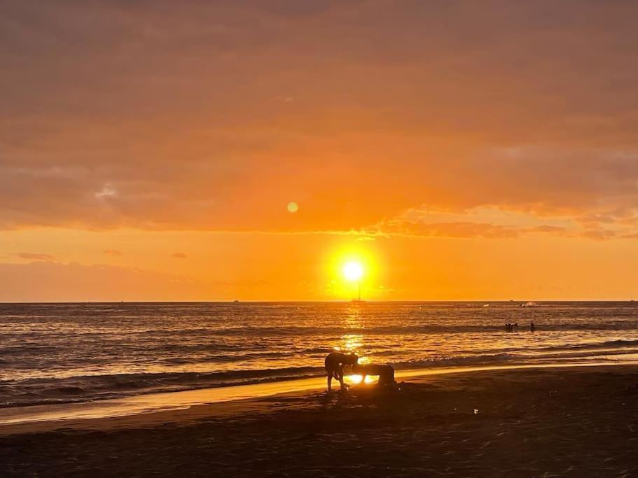 Costa Adeje, 2 Bedrooms Apartment Dış mekan fotoğraf
